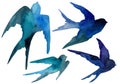 Watercolor set of swallows blue silhouettes