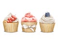 Watercolor set of sweet dessert cupcakes