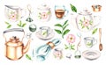 Watercolor set of tea drinking utensils with flowers, tea plant and accessories Royalty Free Stock Photo