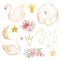 Watercolor set tender swans