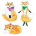 Three watercolor ginger foxes Royalty Free Stock Photo