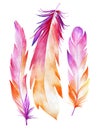 Watercolor set of three pink bird feathers Royalty Free Stock Photo