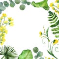 Watercolor set of tropical branches and leaves with yellow flowers isolated on white background. Royalty Free Stock Photo
