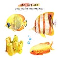 Watercolor set of tropical fish and coral. Royalty Free Stock Photo