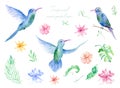 Watercolor set with tropical flowers, leaves and hummingbird. Hawaiian exotic illustrations for greeting card, wedding