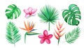 Watercolor set of Tropical leaves and flowers isolated elements on white background. Hand-drawn illustration Royalty Free Stock Photo