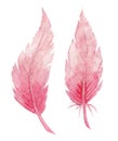 Watercolor set of two delicate pink feathers. Isolated on a white background. For decoration, valentine's day and Royalty Free Stock Photo