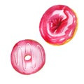 Watercolor set of two pink round donuts