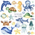 Watercolor set with underwater creatures, whale, octopus, shark, crab, dolphin, sea turtle, fish Royalty Free Stock Photo