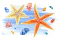 Watercolor set of underwater life objects. Hand drawn composition of marine stones, starfish and plants.