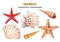 Watercolor set of underwater life objects - various tropical seashells and starfish.