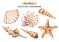 Watercolor set of underwater life objects - various tropical seashells and starfish. Royalty Free Stock Photo