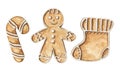 Watercolor set with various gingerbread cookies Royalty Free Stock Photo