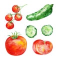 Watercolor set of vegetables Royalty Free Stock Photo