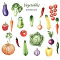 Watercolor set of vegetables Royalty Free Stock Photo