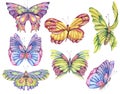 Watercolor set of vintage colorful butterflies Royalty Free Stock Photo