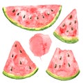 Watercolor set of watermelon pieces. Cute summer illustration with watermelon isolated on the white background. Hand drawn clipart