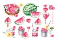 Watercolor set with watermelon, slice, cocktail, canape, plate on a white isolated background