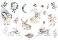 Watercolor set of white rabbit in different poses. Adorable mammal animal. Hare with long ears and short tail