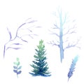 Watercolor set of winter forest - tree, branches