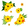 Watercolor set of yellow flowers with greens