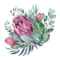 Watercolor sets of plants and flowers of protea and eucalyptus