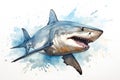 watercolor Shark Hungry shark illustration with splash watercolor textured background Royalty Free Stock Photo