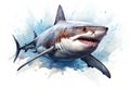 watercolor Shark Hungry shark illustration with splash watercolor textured background Royalty Free Stock Photo