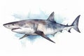 Watercolor shark illustration on white background