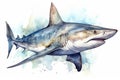 Watercolor shark illustration on white background