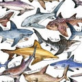 Watercolor shark seamless pattern. Royalty Free Stock Photo