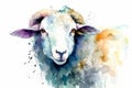 Watercolor sheep illustration on white background