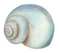 Watercolor shell element