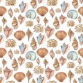 Watercolor shell seamless pattern