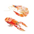 Watercolor shrimp. Royalty Free Stock Photo