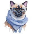 Watercolor siamese cat in glasses and scarf. Winter animal illustration, isolated on white