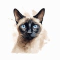 Watercolor siamese cat illustration