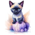 Watercolor siamese kitten and pumpkin. Halloween illustration