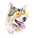 Watercolor siberian husky dog in cool sun glasses