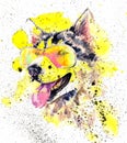 Watercolor siberian husky dog in glasses and yellow splashes