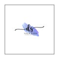 Watercolor Signature logo for Initial Letter DS - Vector Logo Template for Alphabet D and S