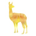 Watercolor silhouette of lama Royalty Free Stock Photo