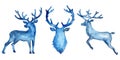 Watercolor silhouette set of deers: jumping deer and head in blue color. Animal painting. Stag and antler christmas