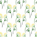 Watercolor simple herbs seamless pattern. Background with flower dill. Vector hand paint illustration for wrapping, textile