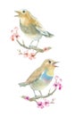 Watercolor singing birds.