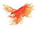 Watercolor single character mystical mythical character phoenix isolated