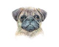 Watercolor single Dog animal isolated