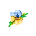 Watercolor single head blossom summer flower of blue and yellow pansy viola isolated on white background