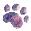 Watercolor single paw print, isolated