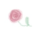 Watercolor Single Pink Rose Flower